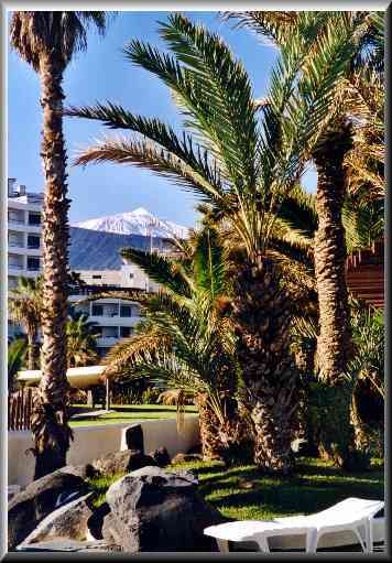 in Puerto de la Cruz